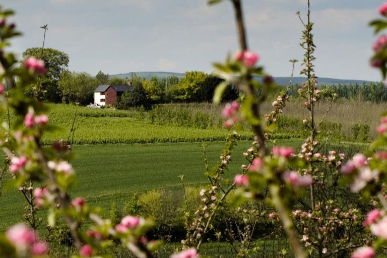 Field Cottage