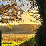 Autumn in Herefordshire