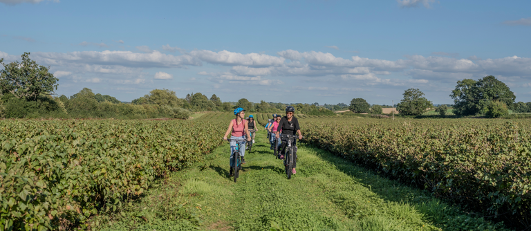 E-Bike Farm Tour & Tasting of the estate